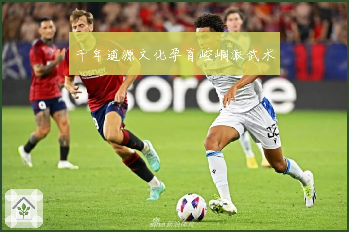 千年道源文化孕育崆峒派武术