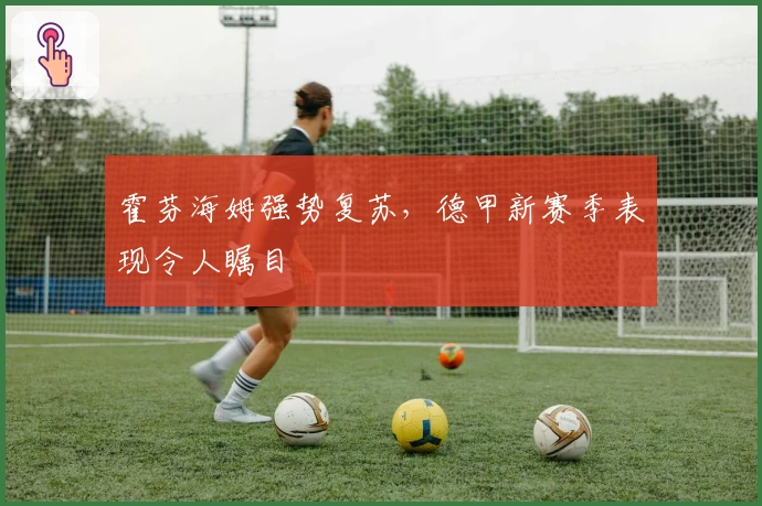 霍芬海姆强势复苏，德甲新赛季表现令人瞩目